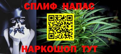 мдпв Татарск