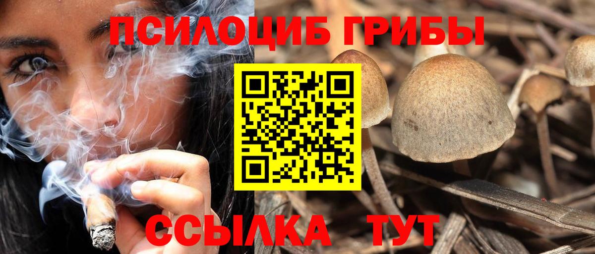 Псилоцибиновые грибы MAGIC MUSHROOMS  Псилоцибиновые грибы Psilocybe  Вход с VPN  Анапа 