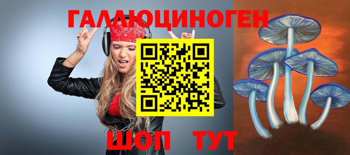 Галлюциногенные грибы Psilocybe Анапа